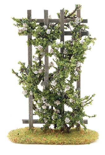 Rose Trellis, White