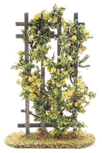 Rose Trellis, Yellow