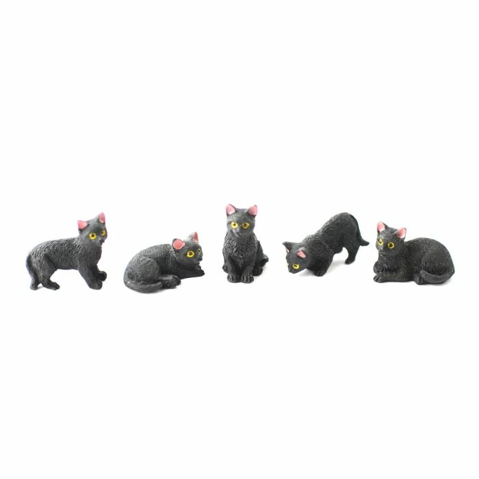 Five Black Cats