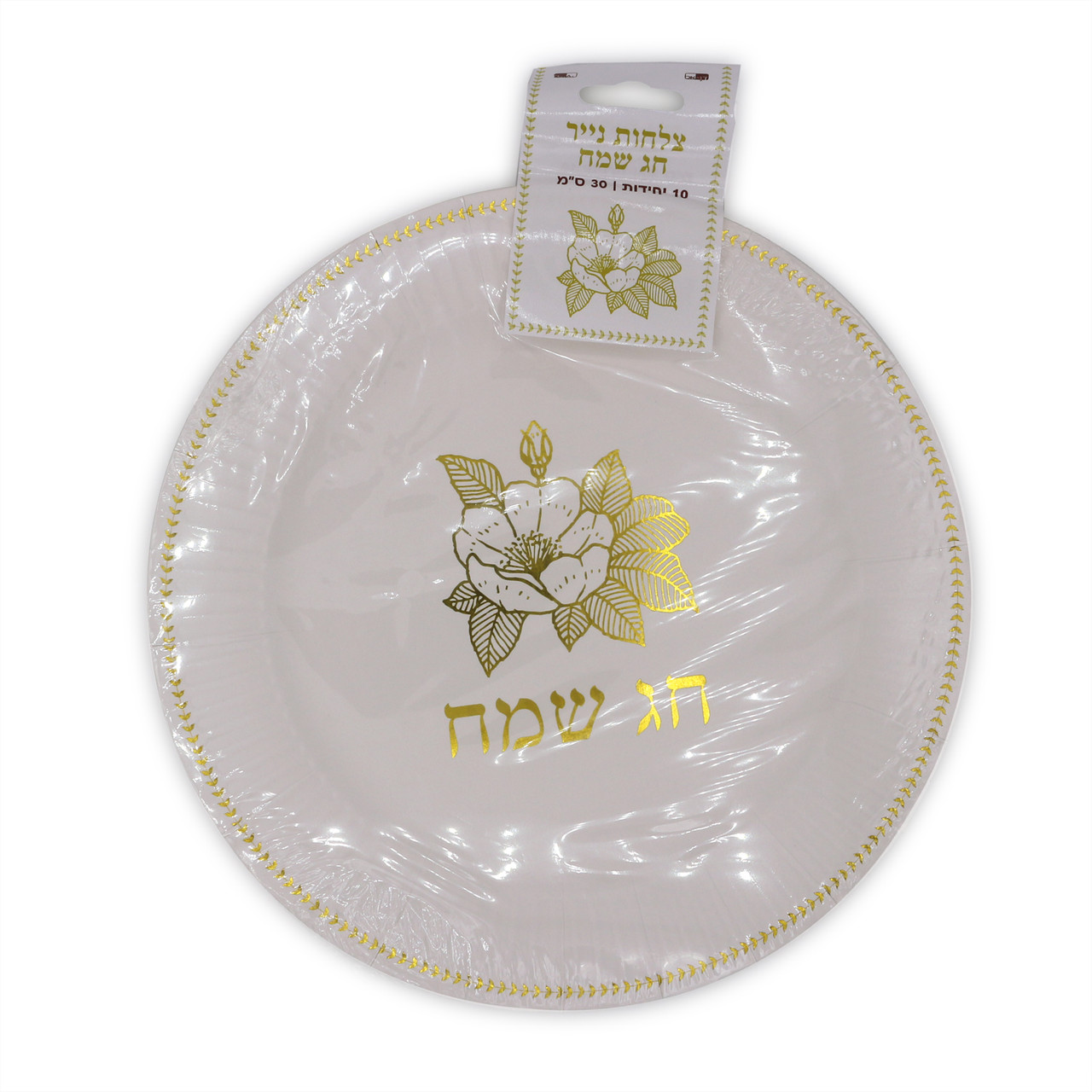 Chag Sameach - Happy Holidays in Hebrew Paper Plates - 9.5" - 10 pcs