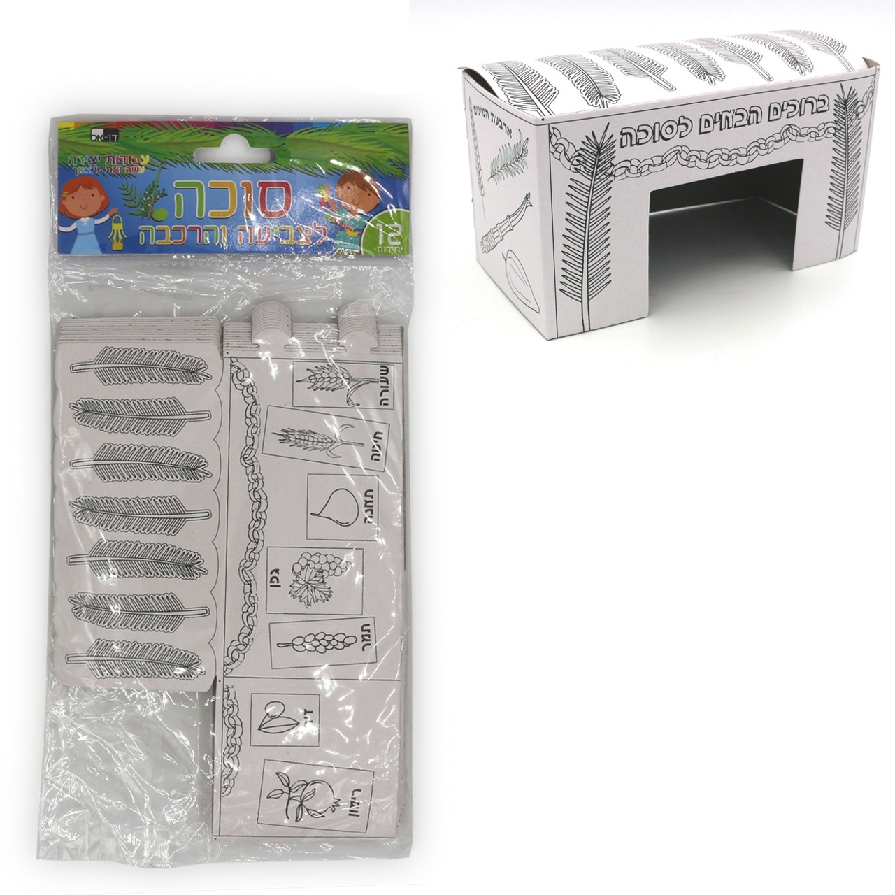 Make your own Sukkah Arts & Crafts Projects - Smaller Version (12)