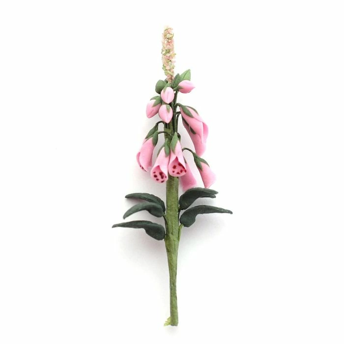 Wild Pink Foxglove
