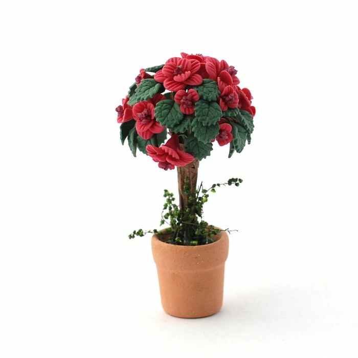 Standard Plant In Pot