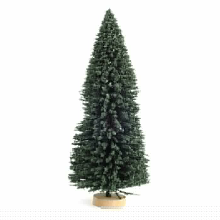 Medium Evergreen Tree