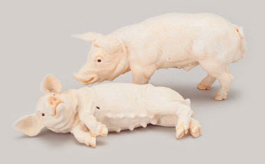 Pigs, 2 pc