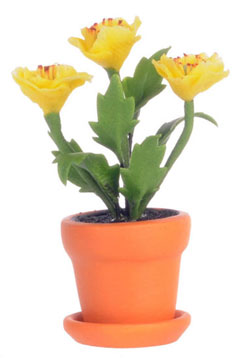 Yellow Poppy In Pot