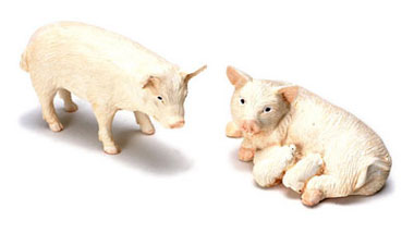Pig, Set of 2