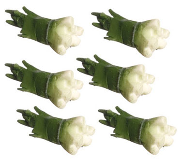 Green Onions, 6 pc