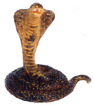 King Cobra