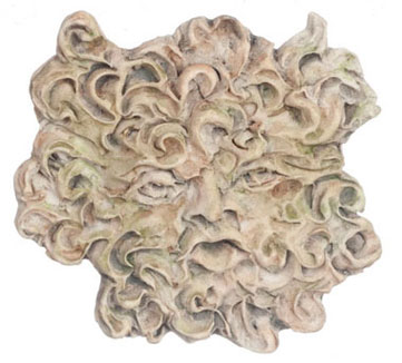 Wind Face, 2 pc, Green