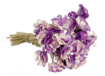 Gypso, 24 pc, Purple