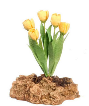 Tulips Plant On The Rock, Yellow