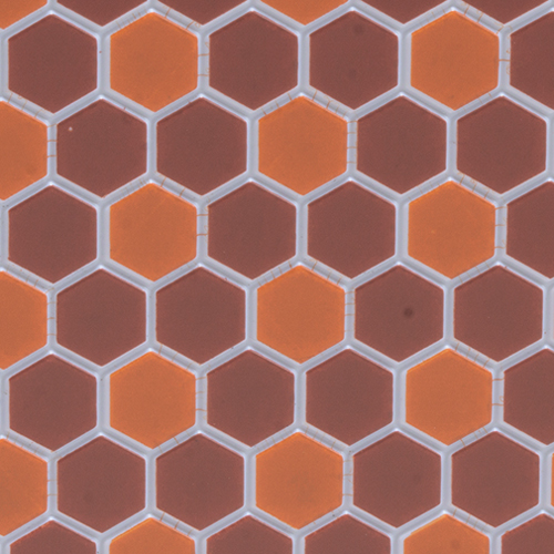 Tile, Hexagons, 12X16, Dark Terra Cotta/Terra Cotta