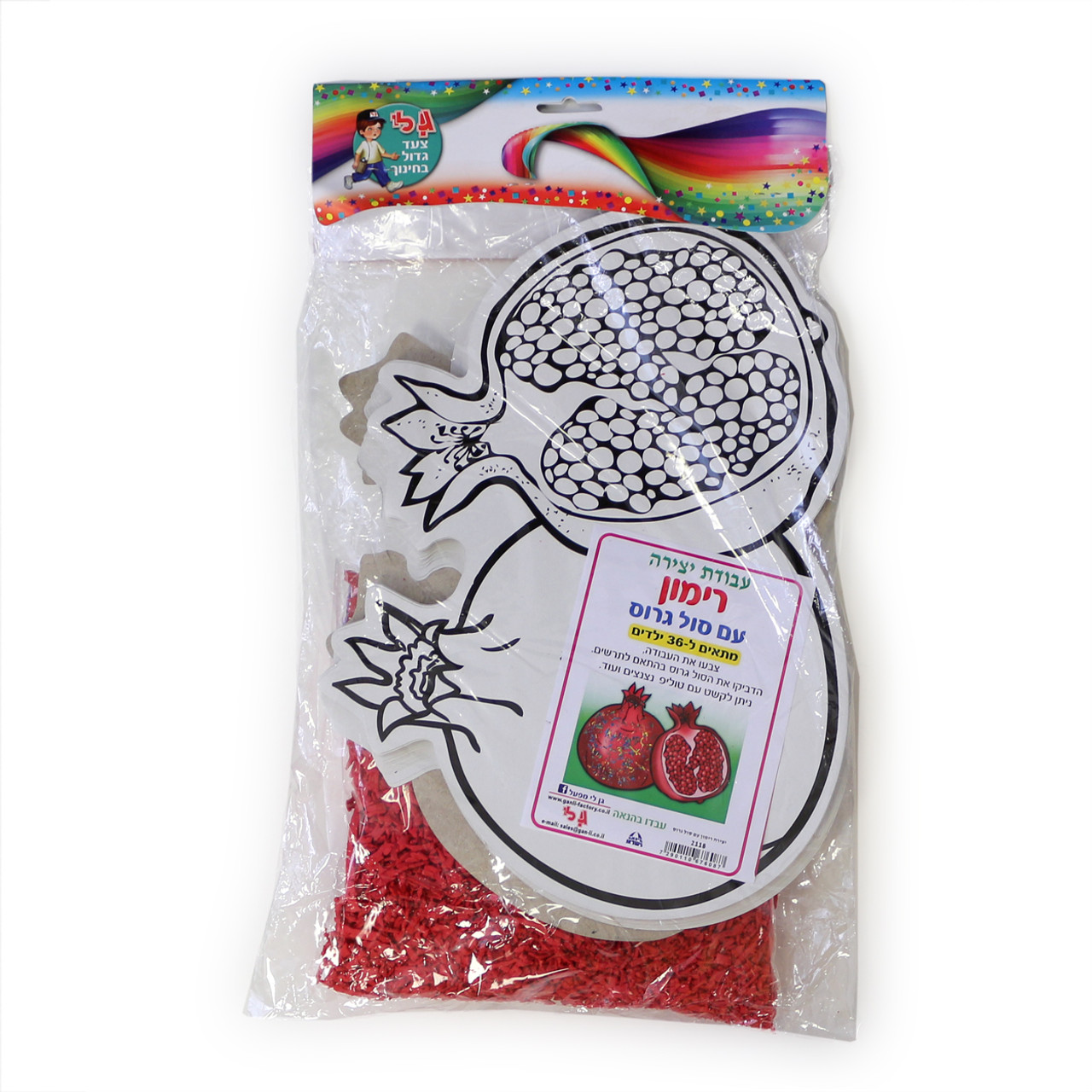 Large Cardboard Pomegranate with Shredded Foam Flakes Craft (36)