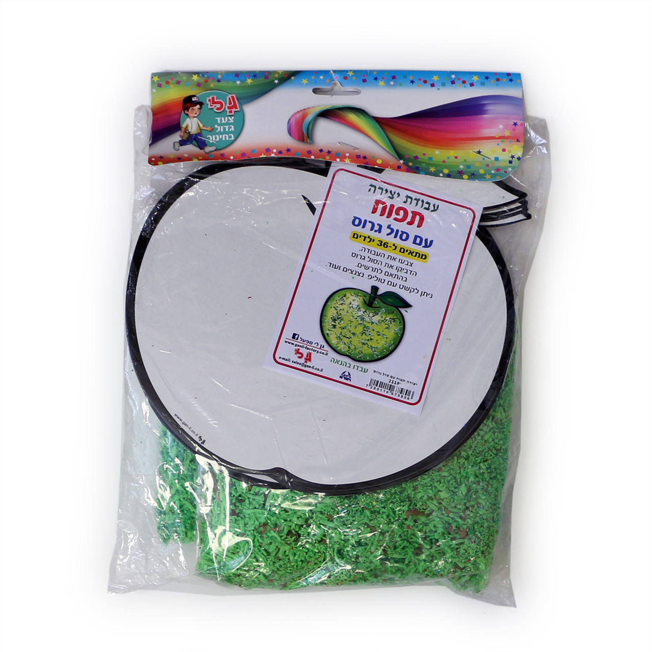 Large Cardboard Apple with Shredded Foam Flakes Craft (36)