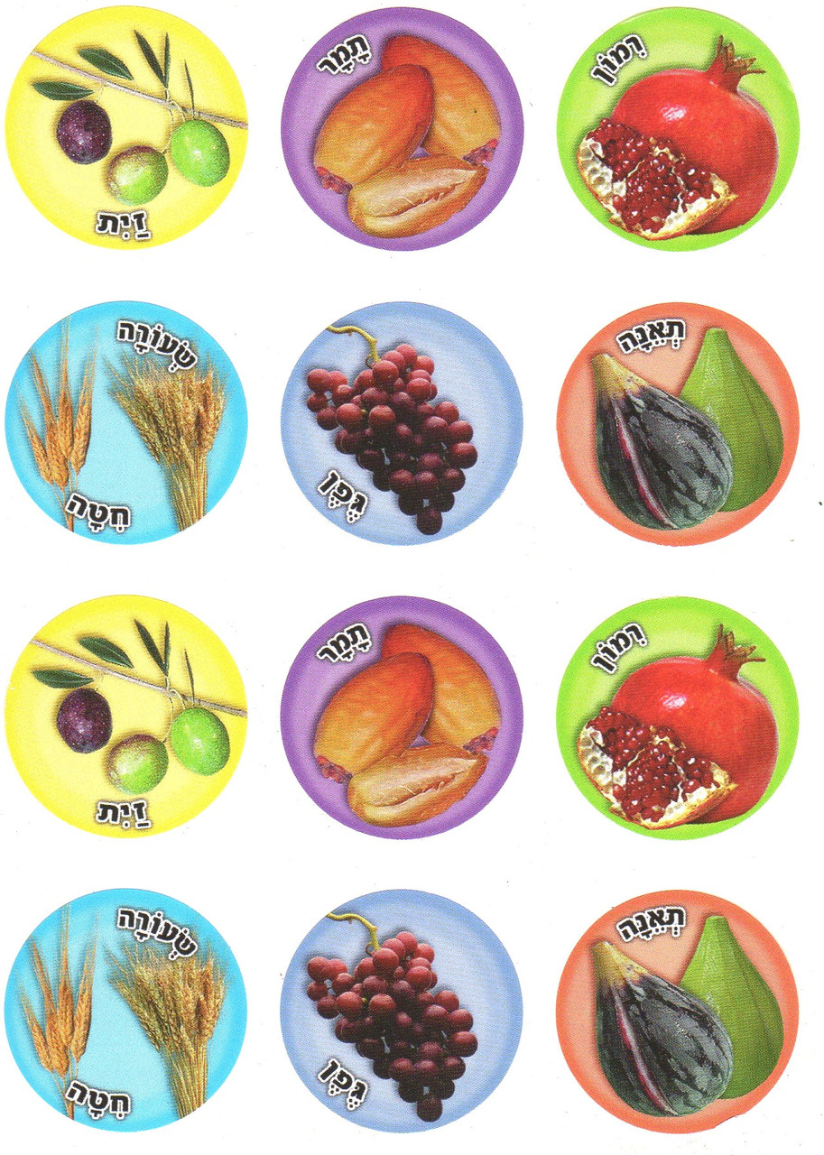 7 Ha Minim Large Stickers | Seven Species Stickers, 1.1" (140)