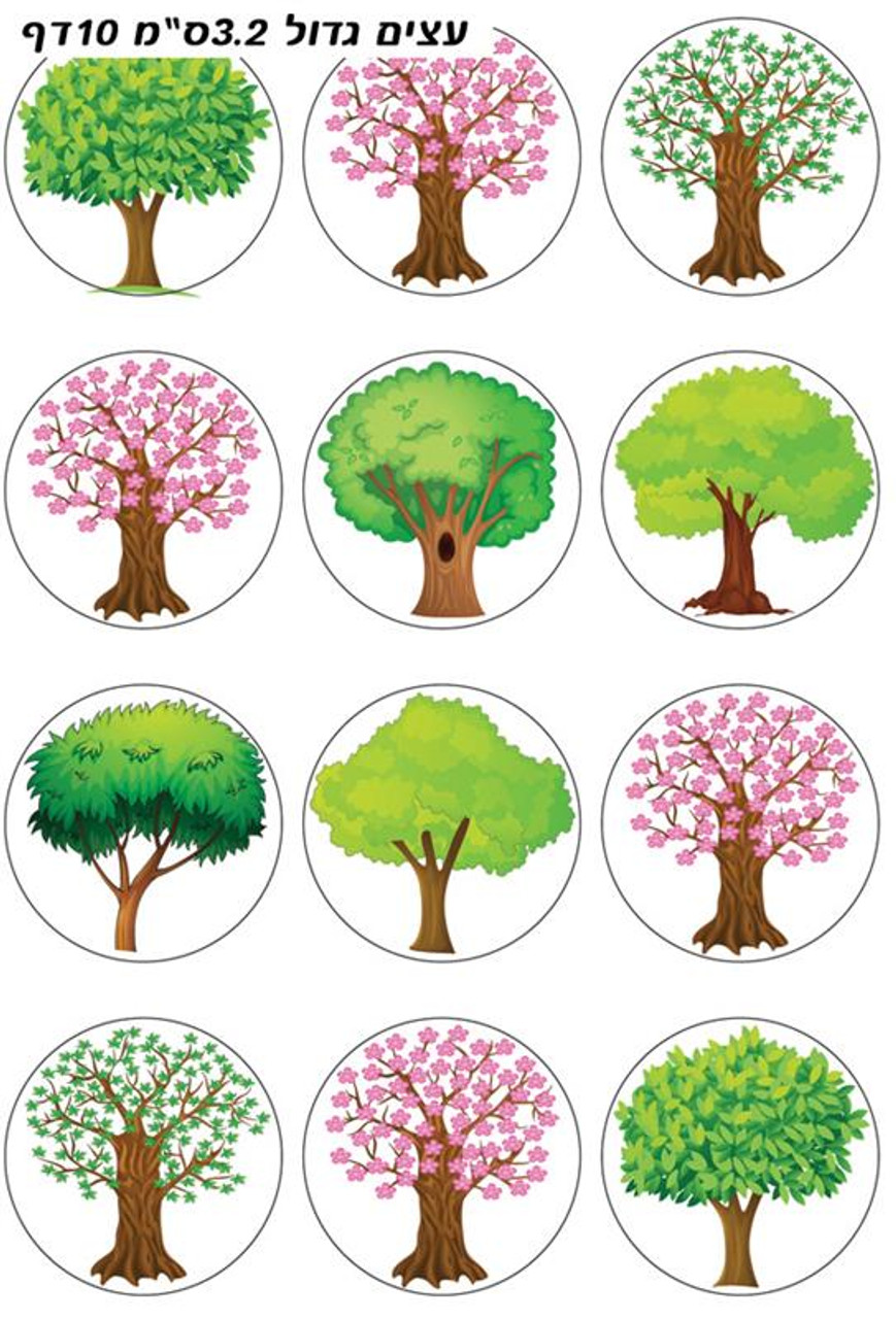 Large Shkedia Tree Stickers 1.3" (120)