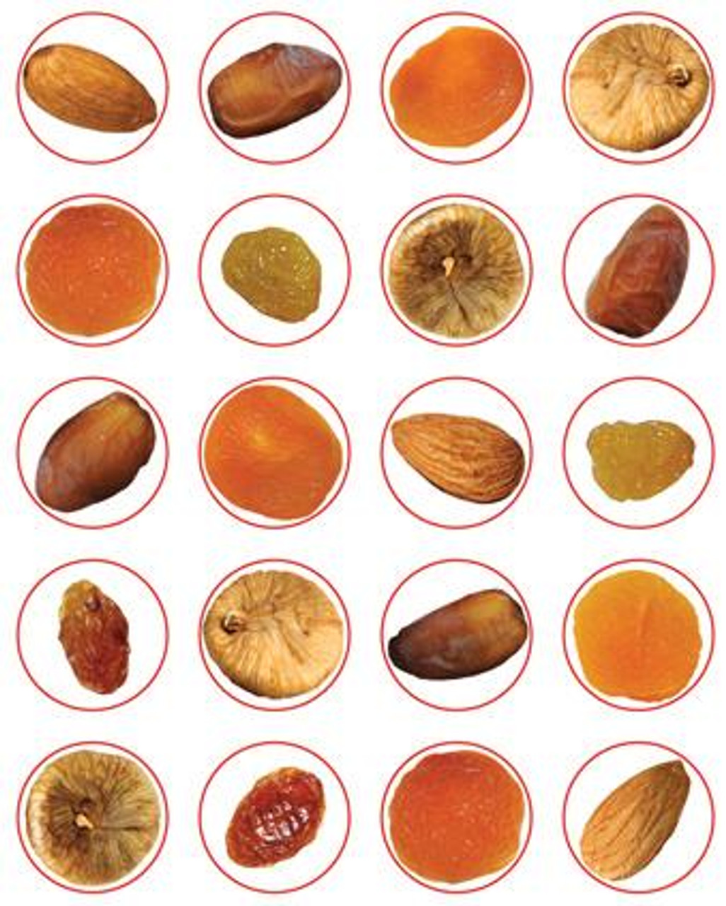 Dried Fruit Stickers 1" (200)