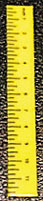 Ruler-Yellow, Set of 6