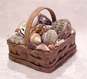 Shells In Square Basket with Handle