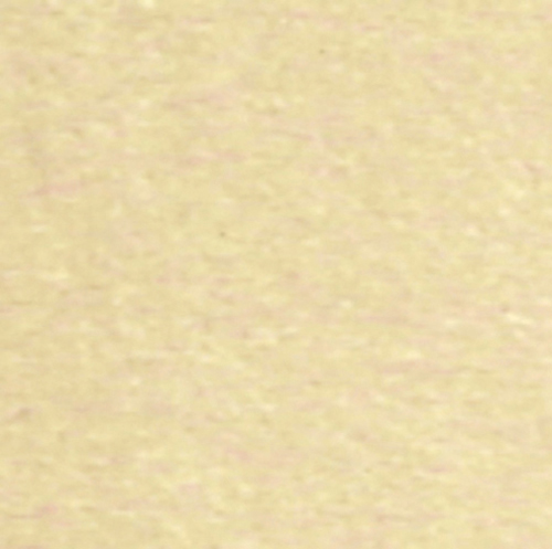 Carpet, Beige/Tan, 12 X 14