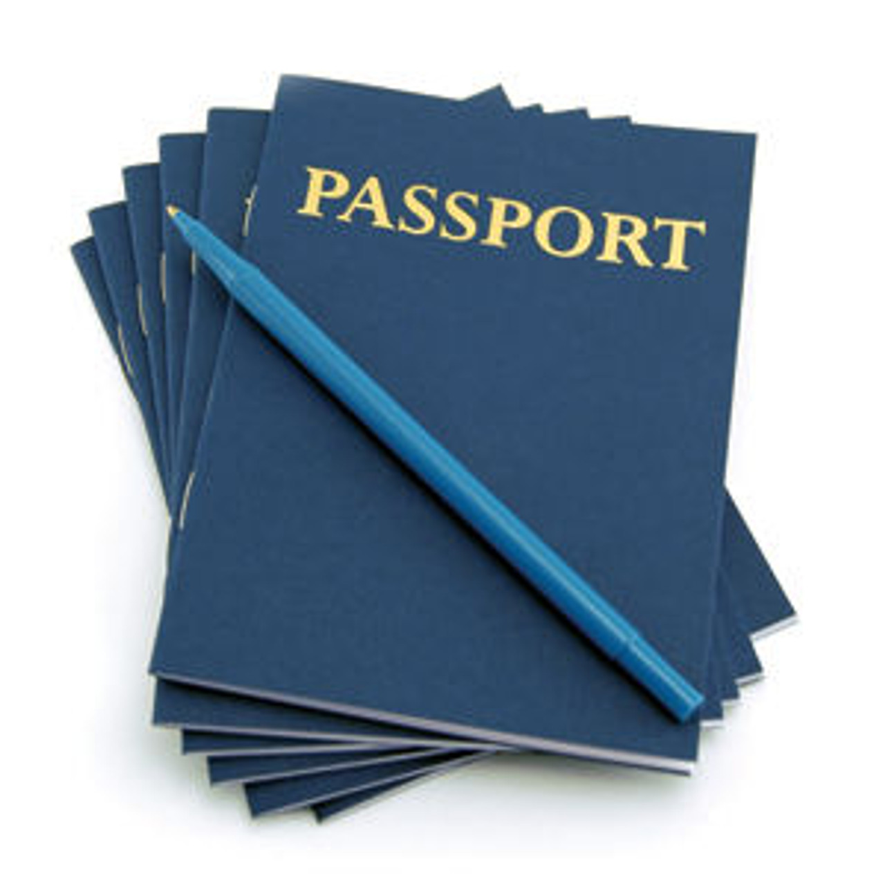 Make Your Own Passport (12)