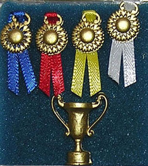 General Trophy Set