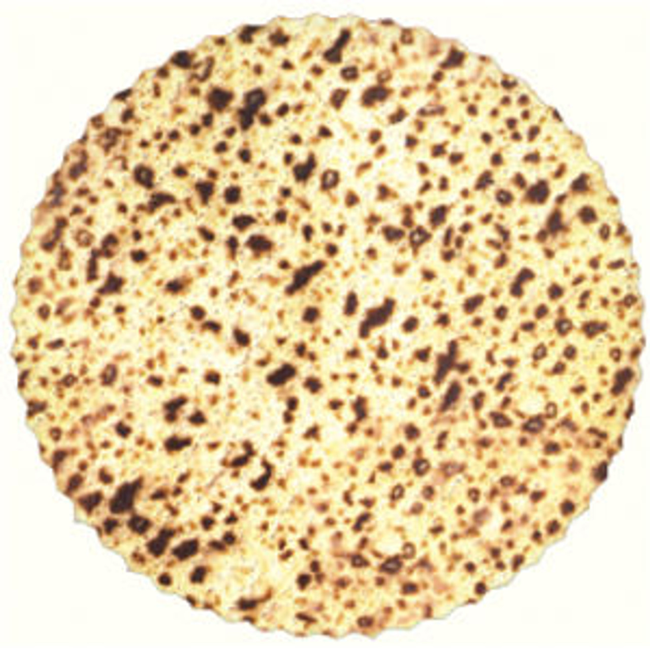 7.5" X-Large Round Matzah Card-Stock Cutouts (20 Pcs.)