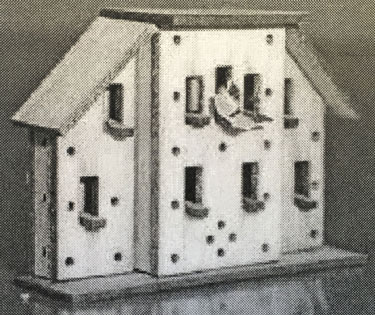 Georgian Butterfly Sanctuary