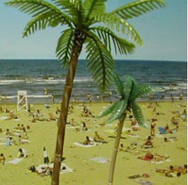 Tree-Palm, 8 1/2" Tall, 2 pc.