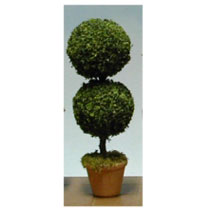 Topiary Large Round