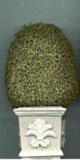 Topiary 4-1/2" Square Base