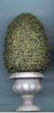 Topiary 4-1/2", Round Base