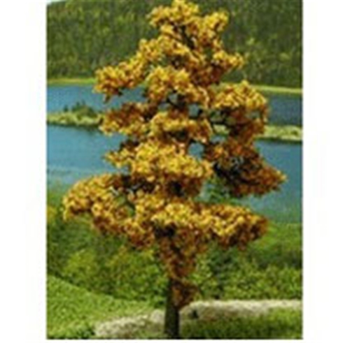 Tree-Premade 2", Autumn, 6 pc.