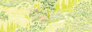 Wallpaper, Ruben's Garden, Yellow, 3 pc.