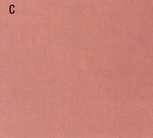 Wallpaper, History, Solid, 3 pc.