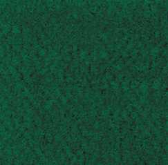 Forest Green Carpeting, 12 X 14