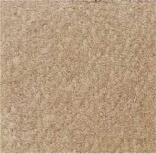 Beige Carpeting, 14 X 20