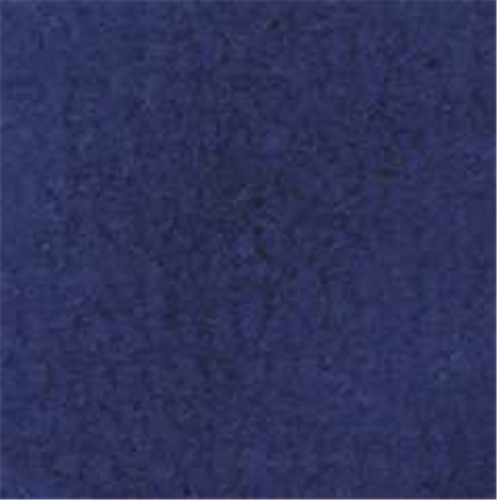 Dark Blue Carpeting, 12 X 14