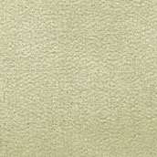 Carpet, Celery, 12 X 14