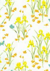 Wallpaper, Iris, Yellow, 3 pc.