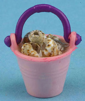 Pail Of Shells