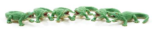 ALLIGATORS, 6 PIECES