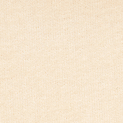 Carpet: Taupe, 12 x 14