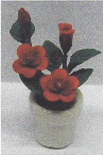 Red Rose Plant