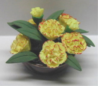 Yellow Carnation/Flat Plate 1 1/4
