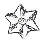 Large Star ( 4 Per Pack)