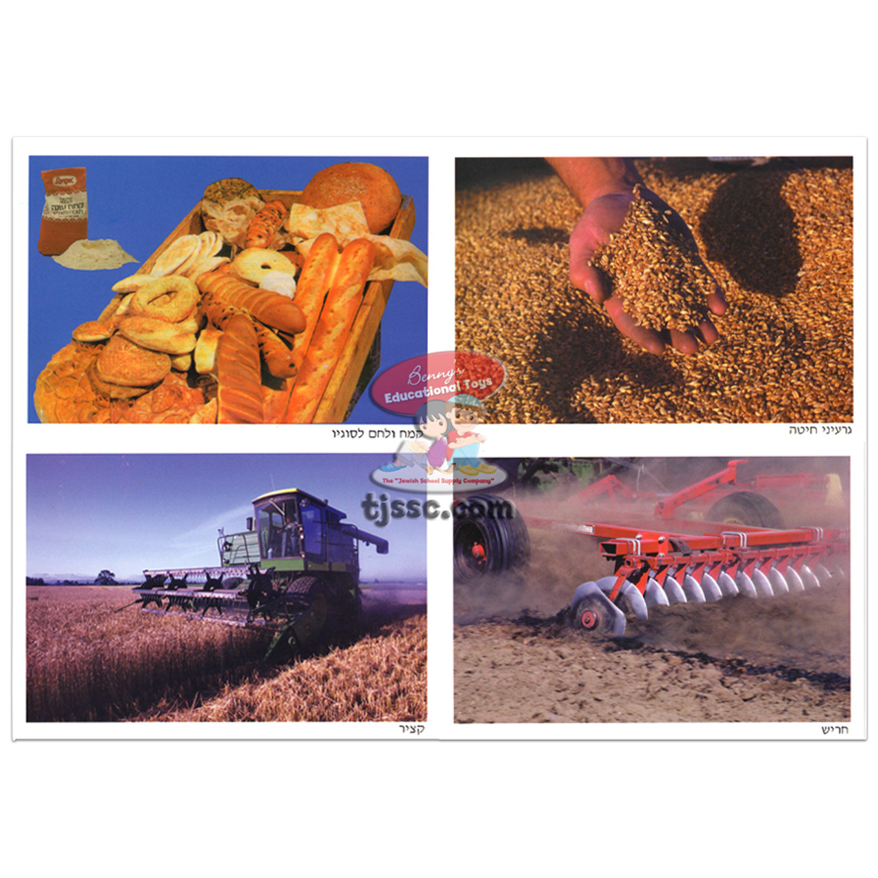 The Bread we eat Pic. Set