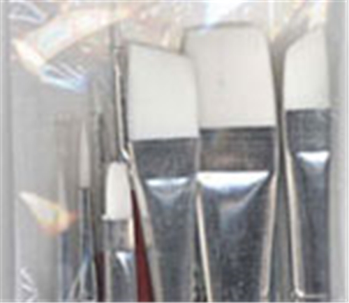 Plaid White Nylon Brush Set, 10pc