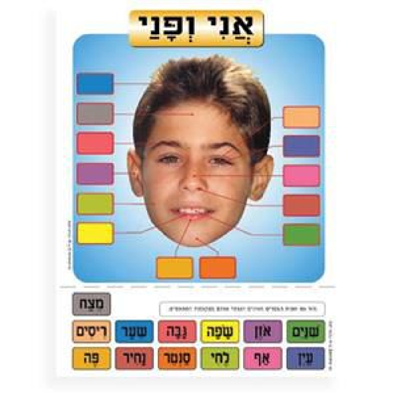 "Me and My Face" Small Capsulated Poster in Hebrew